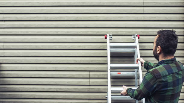 Best Siding Painting and Refinishing  in Desnso, CA